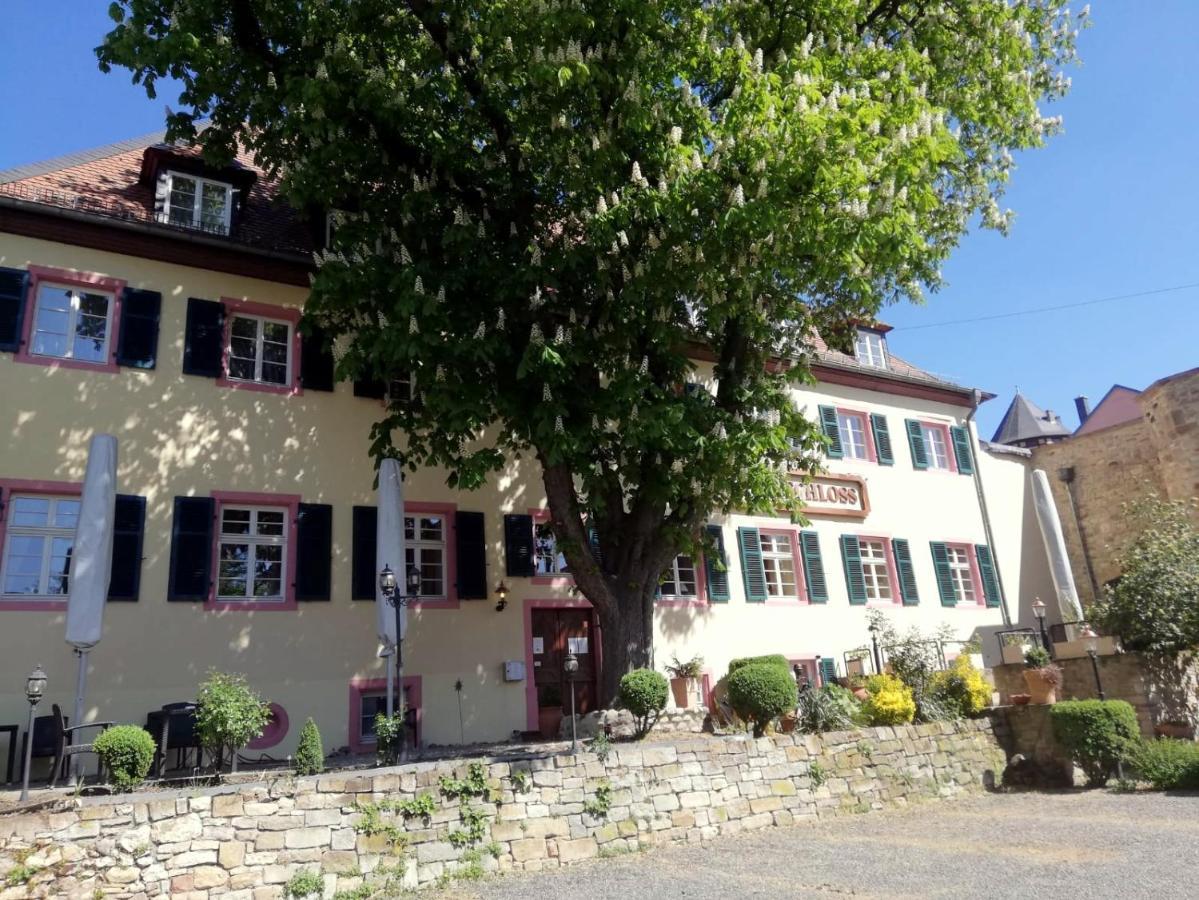 Hotel Am Schloss Alzey Luaran gambar